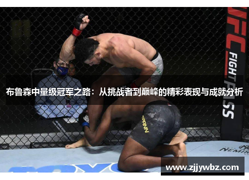 布鲁森中量级冠军之路：从挑战者到巅峰的精彩表现与成就分析