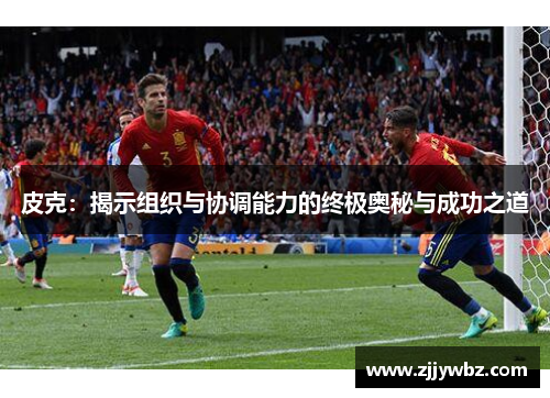 皮克：揭示组织与协调能力的终极奥秘与成功之道