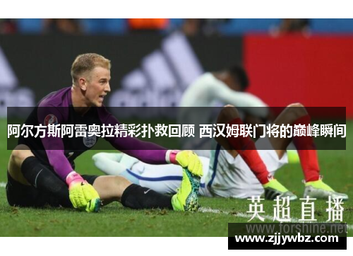 阿尔方斯阿雷奥拉精彩扑救回顾 西汉姆联门将的巅峰瞬间