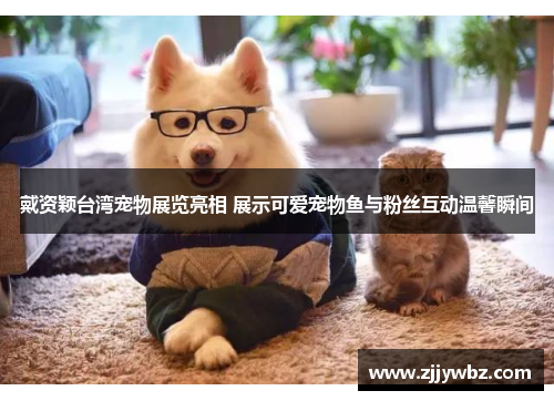 戴资颖台湾宠物展览亮相 展示可爱宠物鱼与粉丝互动温馨瞬间