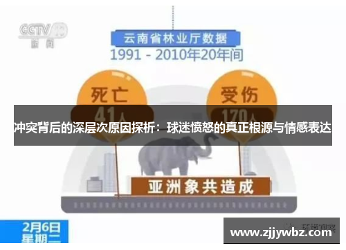 冲突背后的深层次原因探析：球迷愤怒的真正根源与情感表达