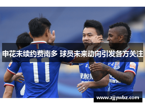 申花未续约费南多 球员未来动向引发各方关注